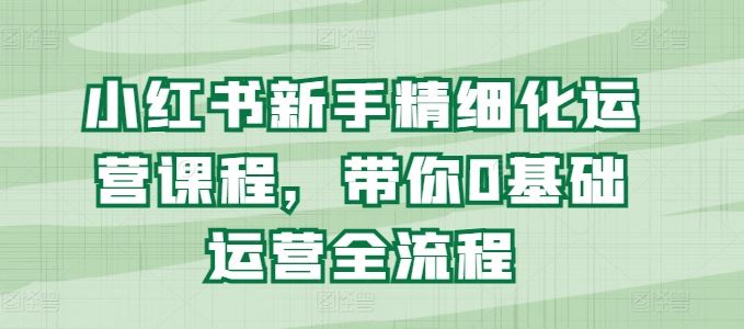 小红书新手精细化运营课程，带你0基础运营全流程-三六网赚