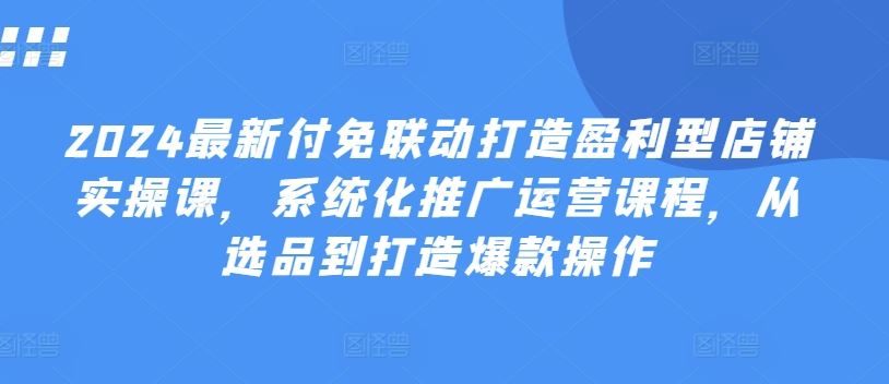 2024最新付免联动打造盈利型店铺实操课，​系统化推广运营课程，从选品到打造爆款操作-三六网赚