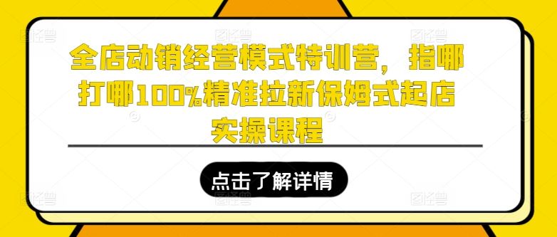 全店动销经营模式特训营，指哪打哪100%精准拉新保姆式起店实操课程-三六网赚