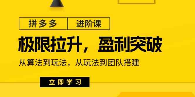 拼多多进阶课：极限拉升/盈利突破：从算法到玩法 从玩法到团队搭建（18节）-三六网赚