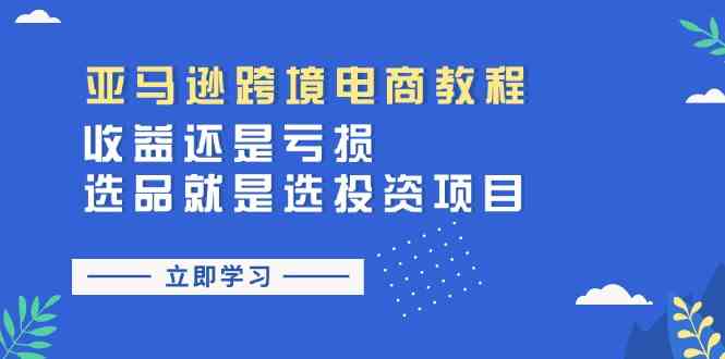 亚马逊跨境电商教程：收益还是亏损！选品就是选投资项目-三六网赚