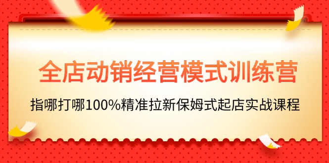 （11460期）全店动销-经营模式训练营，指哪打哪100%精准拉新保姆式起店实战课程-三六网赚