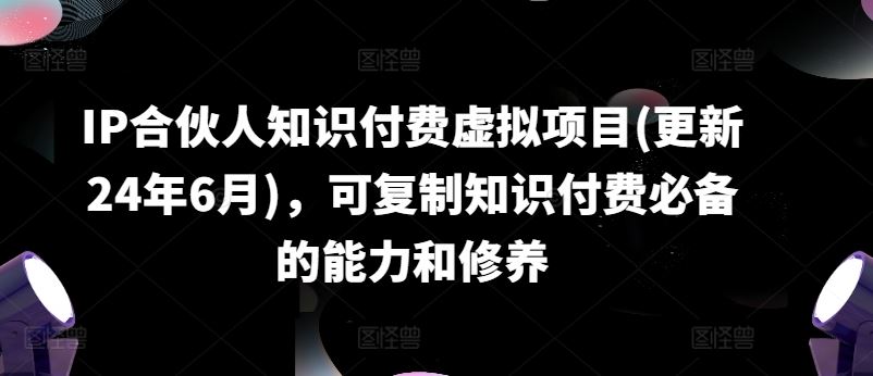 IP合伙人知识付费虚拟项目(更新24年6月)，可复制知识付费必备的能力和修养-三六网赚