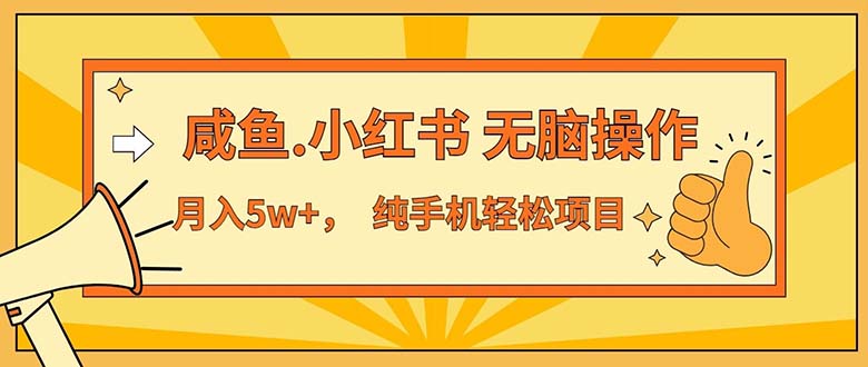 （11524期）2024最赚钱的项目，咸鱼，小红书无脑操作，每单利润500+，轻松月入5万+…-三六网赚