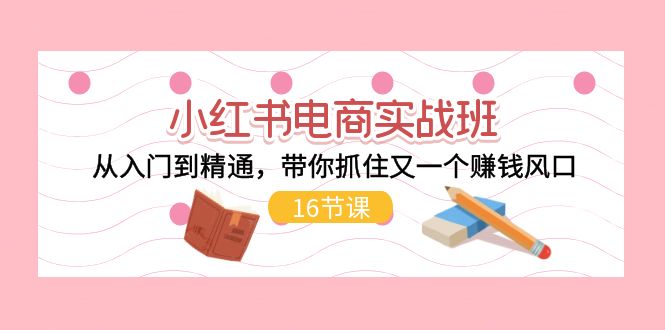 （11533期）小红书电商实战班，从入门到精通，带你抓住又一个赚钱风口（16节）-三六网赚