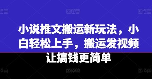 小说推文搬运新玩法，小白轻松上手，搬运发视频让搞钱更简单-三六网赚