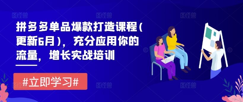 拼多多单品爆款打造课程(更新6月)，充分应用你的流量，增长实战培训-三六网赚