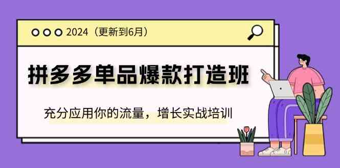 2024拼多多单品爆款打造班，充分应用你的流量，增长实战培训(更新6月)-三六网赚