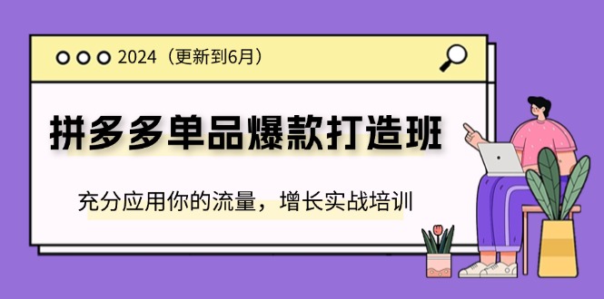 （11556期）2024拼多多-单品爆款打造班(更新6月)，充分应用你的流量，增长实战培训-三六网赚