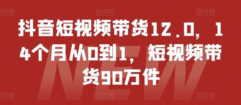 抖音短视频带货12.0，14个月从0到1，短视频带货90万件-三六网赚