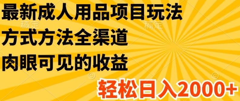 最新成人用品项目玩法，方式方法全渠道，轻松日入2K+【揭秘】-三六网赚