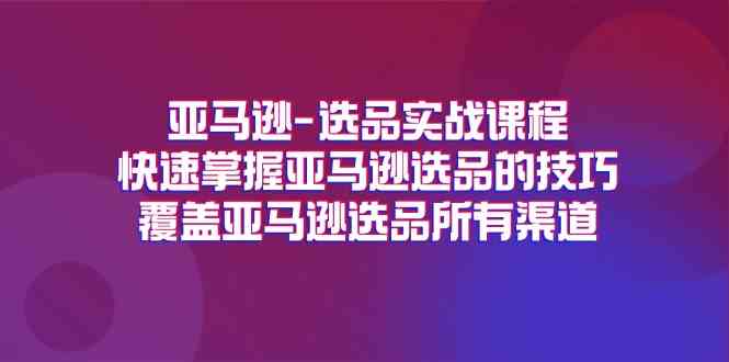 亚马逊选品实战课程，快速掌握亚马逊选品的技巧，覆盖亚马逊选品所有渠道-三六网赚