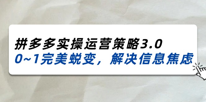 （11658期）2024_2025拼多多实操运营策略3.0，0~1完美蜕变，解决信息焦虑（38节）-三六网赚