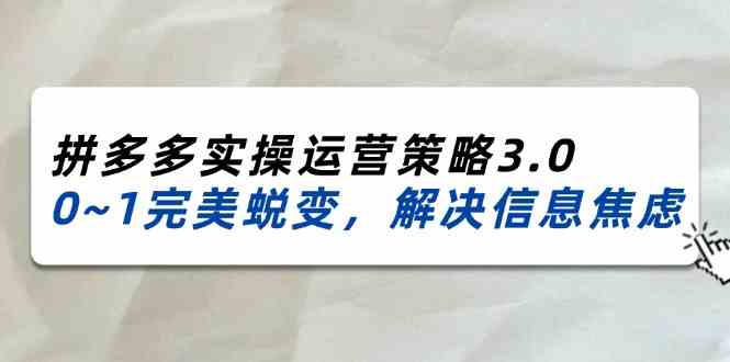 2024-2025拼多多实操运营策略3.0，0~1完美蜕变，解决信息焦虑（38节）-三六网赚