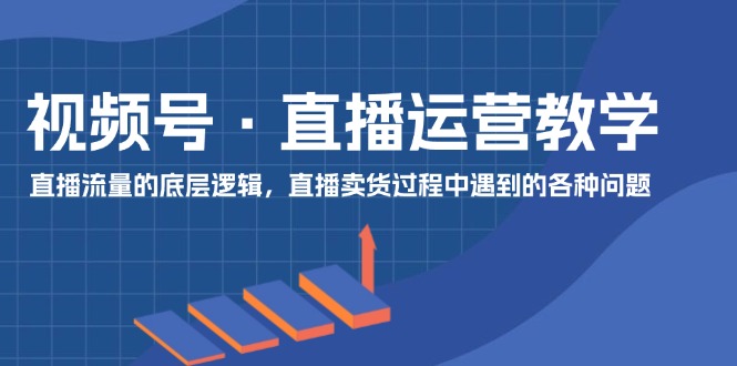 （11687期）视频号 直播运营教学：直播流量的底层逻辑，直播卖货过程中遇到的各种问题-三六网赚