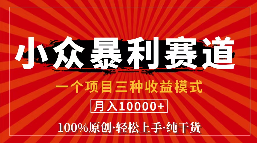 （11695期）视频号【中老年粉深信不疑】小众赛道 100%原创 手把手教学 新号3天收益…-三六网赚