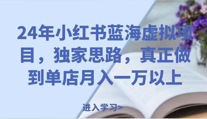 24年小红书蓝海虚拟项目，独家思路，真正做到单店月入一万以上。-三六网赚