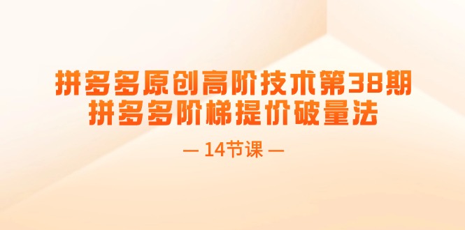 （11704期）拼多多原创高阶技术第38期，拼多多阶梯提价破量法（14节课）-三六网赚