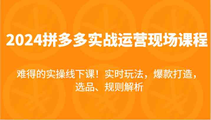 2024拼多多实战运营现场课，实时玩法，爆款打造，选品、规则解析，难得的实操线下课！-三六网赚