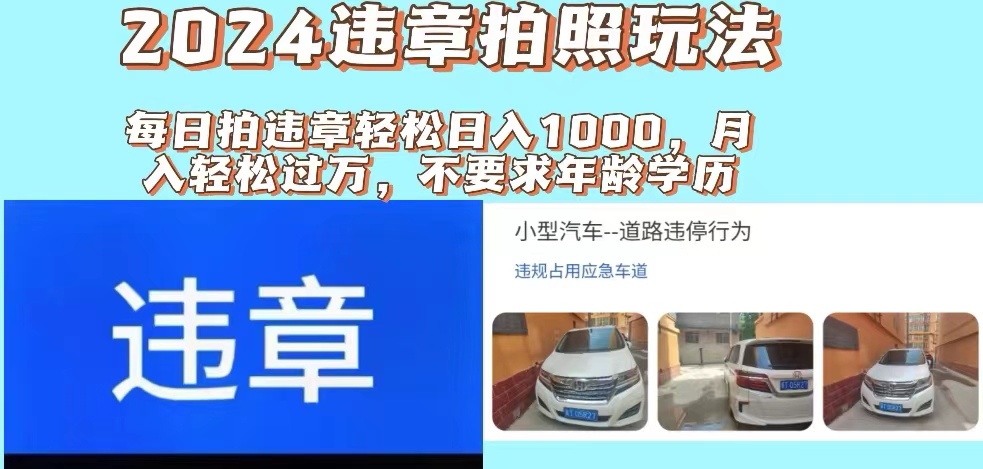 （11743期）2024违章拍照新玩法，推广躺赚+拍照赚钱双模式，日入1000+-三六网赚