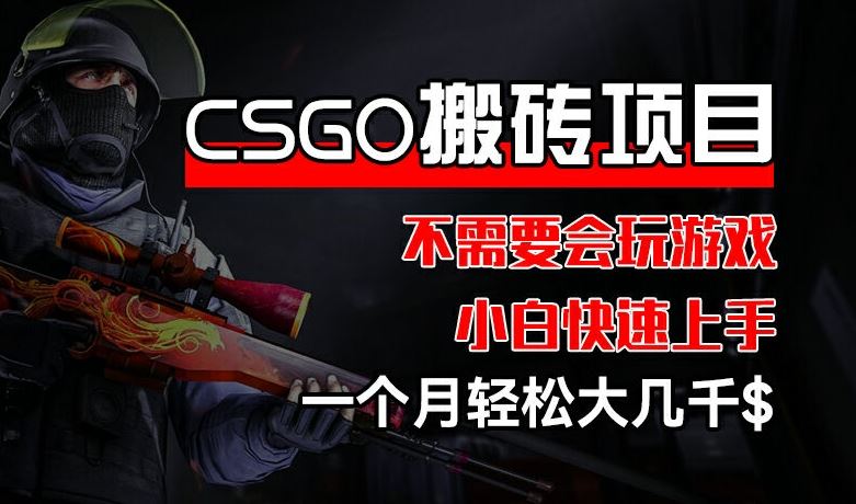 CSGO 装备搬砖项目，操作简单，不需要会玩游戏，小白也能快速上手，一个月轻松大几千【揭秘】-三六网赚