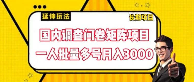 国内调查问卷矩阵项目，一人批量多号月入3000【揭秘】-三六网赚