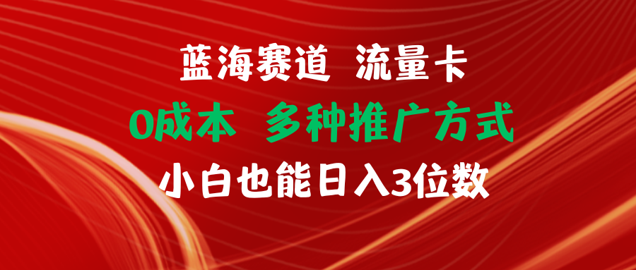 （11768期）蓝海赛道 流量卡 0成本 小白也能日入三位数-三六网赚