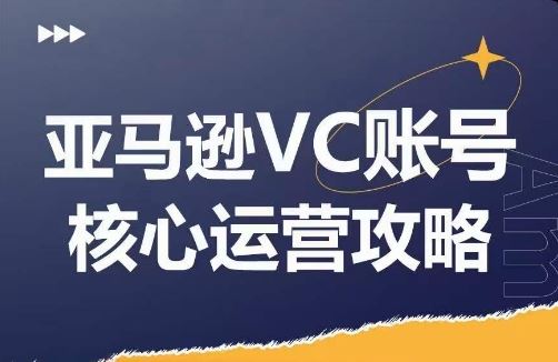 亚马逊VC账号核心玩法解析，实战经验拆解产品模块运营技巧，提升店铺GMV，有效提升运营利润-三六网赚