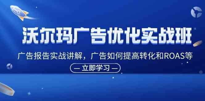 沃尔玛广告优化实战班，广告报告实战讲解，广告如何提高转化和ROAS等-三六网赚