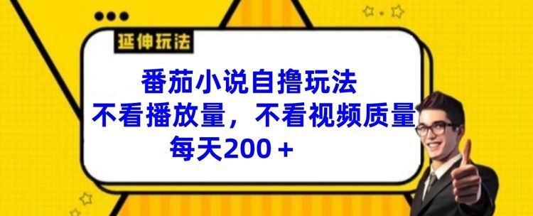 番茄小说自撸玩法，不看播放量，不看视频质量，每天200+【揭秘】-三六网赚