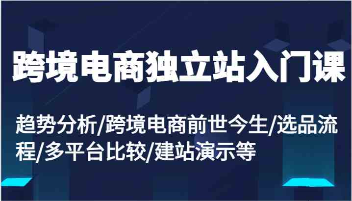 跨境电商独立站入门课：趋势分析/跨境电商前世今生/选品流程/多平台比较/建站演示等-三六网赚