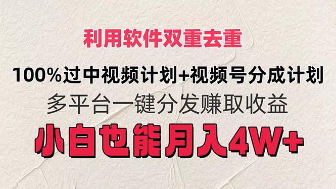 （11862期）利用软件双重去重，100%过中视频+视频号分成计划小白也可以月入4W+-三六网赚