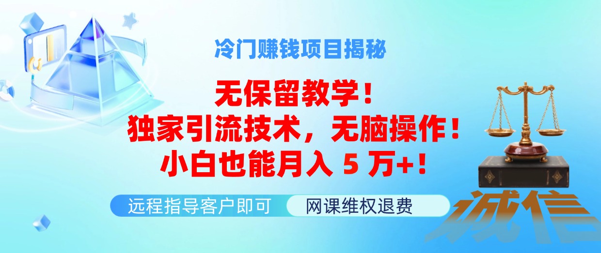 （11864期）冷门赚钱项目无保留教学！独家引流技术，无脑操作！小白也能月入5万+！-三六网赚