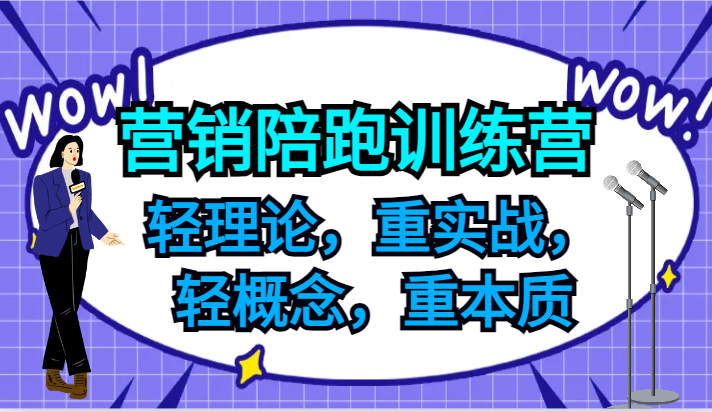 营销陪跑训练营，轻理论，重实战，轻概念，重本质，适合中小企业和初创企业的老板-三六网赚