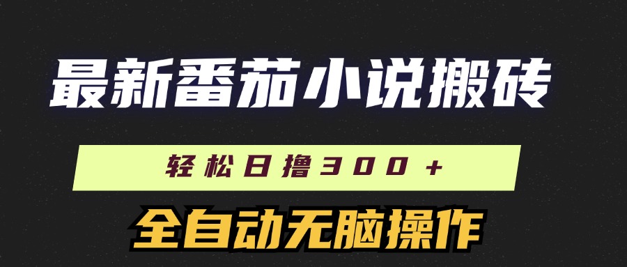 （11904期）最新番茄小说搬砖，日撸300＋！全自动操作，可矩阵放大-三六网赚