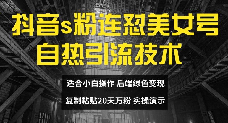 抖音s粉连怼美女号自热引流技术复制粘贴，20天万粉账号，无需实名制，矩阵操作【揭秘】-三六网赚