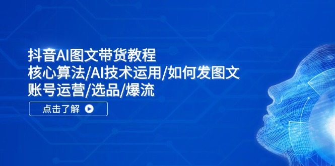 抖音AI图文带货教程：核心算法/AI技术运用/如何发图文/账号运营/选品/爆流-三六网赚