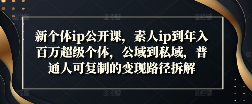 新个体ip公开课，素人ip到年入百万超级个体，公域到私域，普通人可复制的变现路径拆解-三六网赚