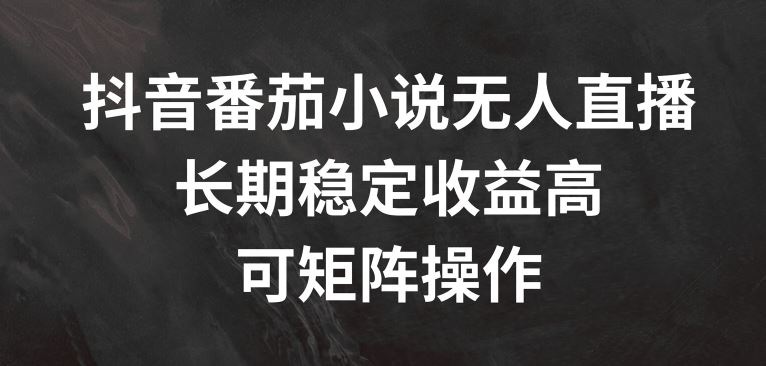 抖音番茄小说无人直播，长期稳定收益高，可矩阵操作【揭秘】-三六网赚