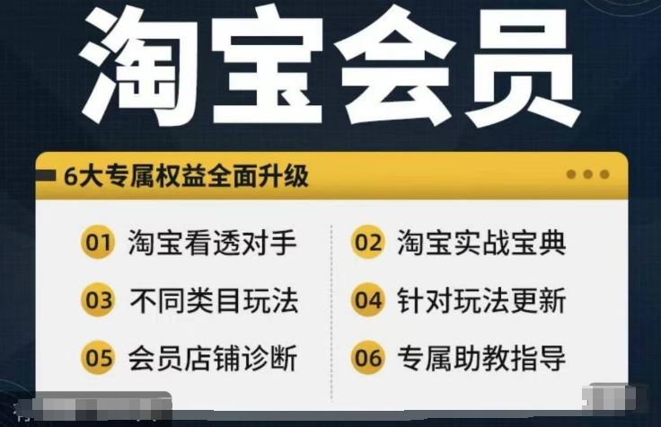 淘宝会员【淘宝所有课程，全面分析对手】，初级到高手全系实战宝典-三六网赚