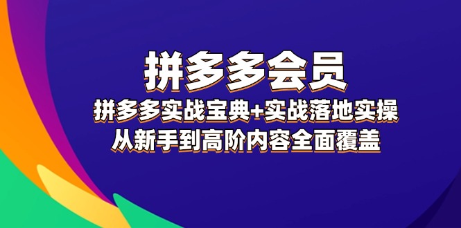 （12056期）拼多多 会员，拼多多实战宝典+实战落地实操，从新手到高阶内容全面覆盖-三六网赚