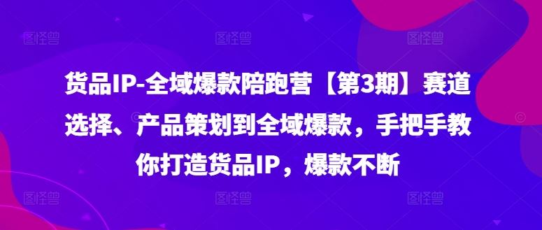 货品IP全域爆款陪跑营【第3期】赛道选择、产品策划到全域爆款，手把手教你打造货品IP，爆款不断-三六网赚