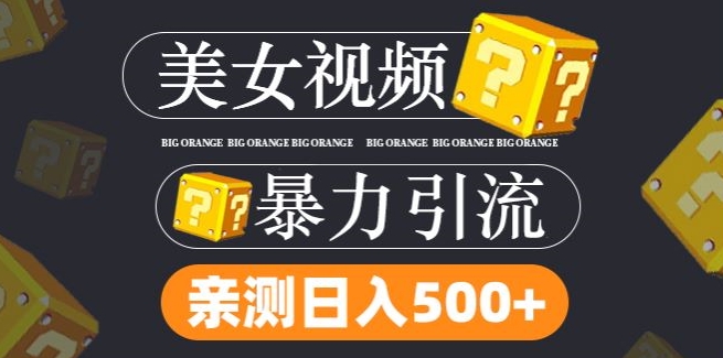 搬运tk美女视频全网分发，日引s粉300+，轻松变现，不限流量不封号-三六网赚