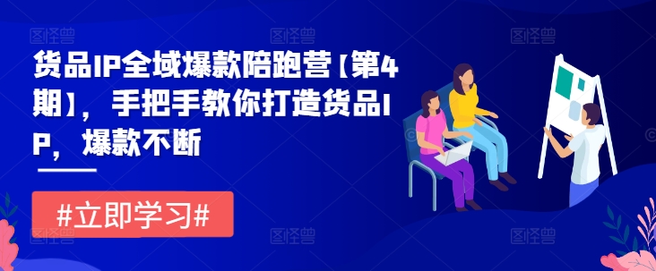 货品IP全域爆款陪跑营【第4期】，手把手教你打造货品IP，爆款不断-三六网赚