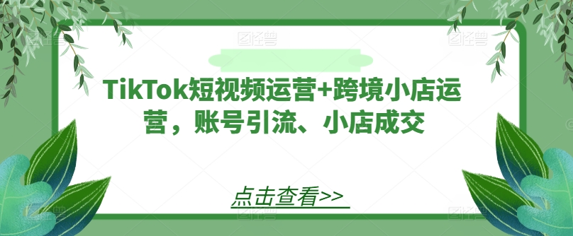 TikTok短视频运营+跨境小店运营，账号引流、小店成交-三六网赚