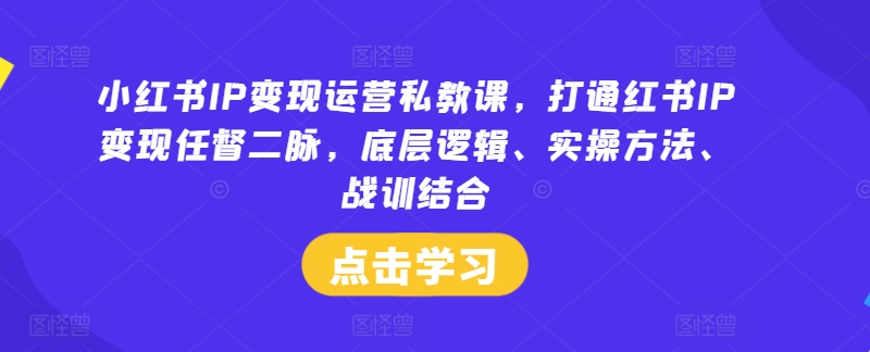 小红书IP变现运营私教课，打通红书IP变现任督二脉，底层逻辑、实操方法、战训结合-三六网赚