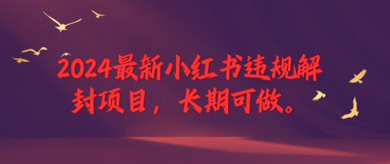 2024最新小红书违规解封项目，长期可做，一个可以做到退休的项目-三六网赚