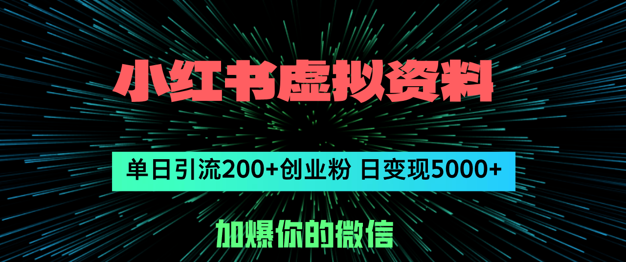 （12164期）小红书虚拟资料日引流200+创业粉，单日变现5000+-三六网赚