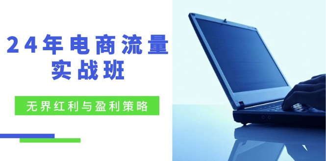 （12168期）24年电商流量实战班：无界 红利与盈利策略，终极提升/关键词优化/精准…-三六网赚