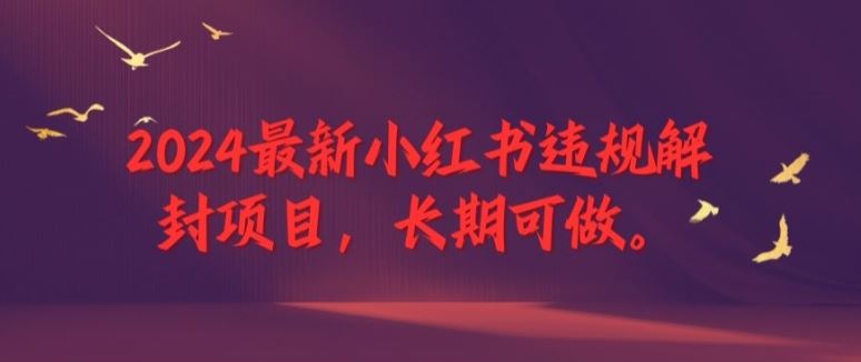 2024最新小红书违规解封项目，长期可做，一个可以做到退休的项目【揭秘】-三六网赚